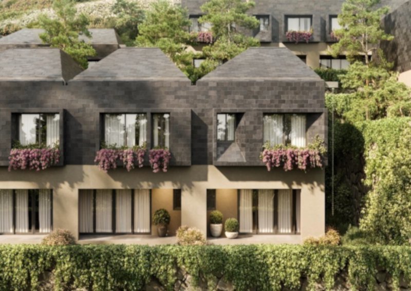 Dappled Light Estate by Vianaar Homes
