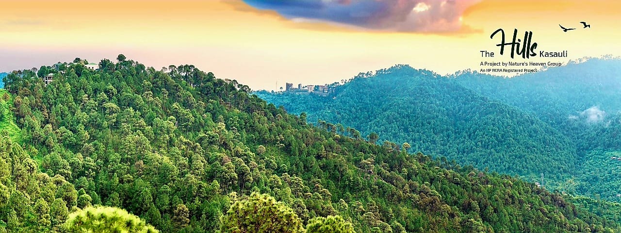 The Hill Kasauli