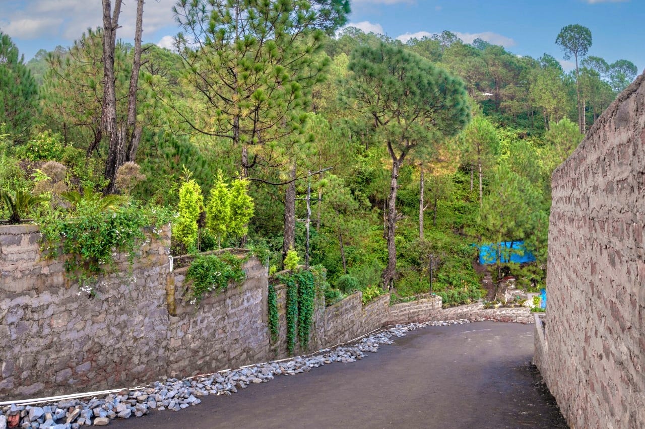 The Hill Kasauli