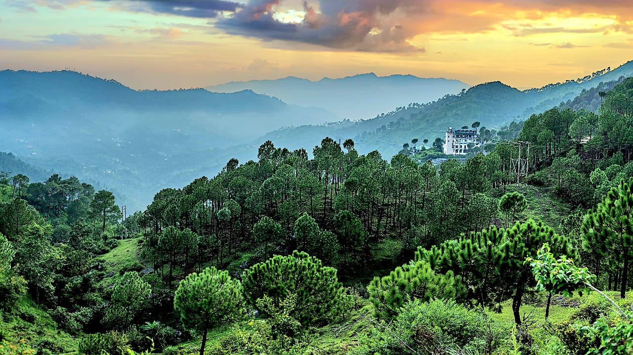 The Hill Kasauli