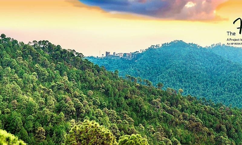 The Hills Kasauli Gallery