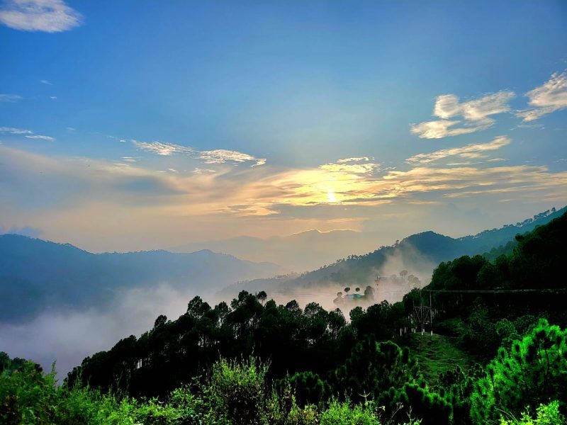 The Hills Kasauli Gallery